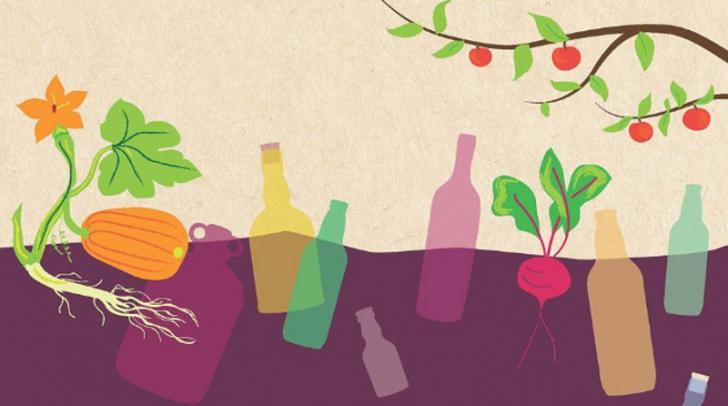 brouw het zelf boek met recepten voor bier en andere dranken
